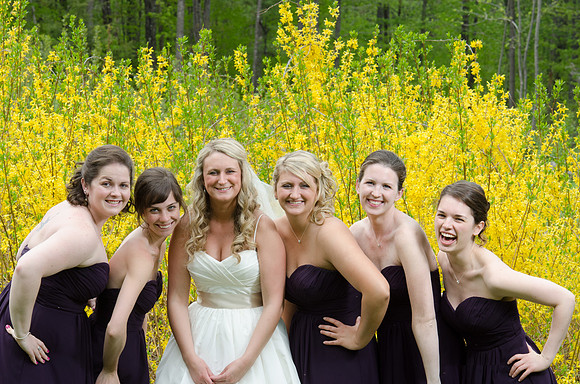 weddingmaidsfix